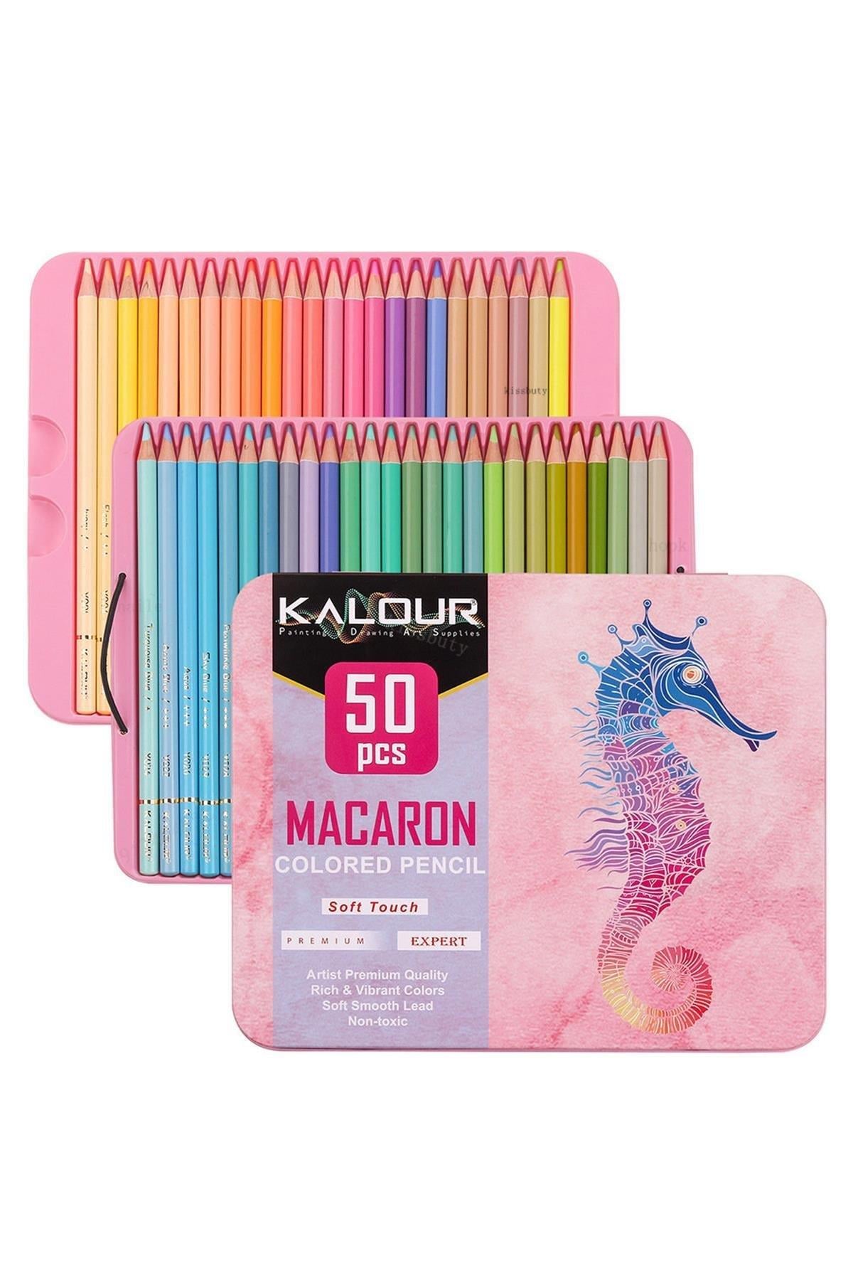 Vox Art Kalour Macaron 50'li Kuru Boya Kalem Seti - Metal Kutulu