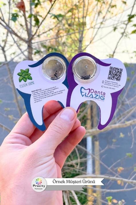 Diş Şeklinde Tohumlu Tanıtım Kartı TTK-003