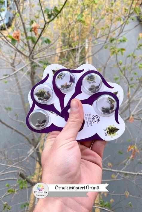 Diş Şeklinde Tohumlu Tanıtım Kartı TTK-003