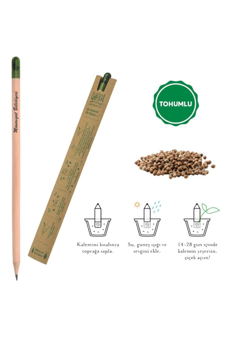 Promosyon Tohumlu Kurşun Kalem 07601-PAKS
