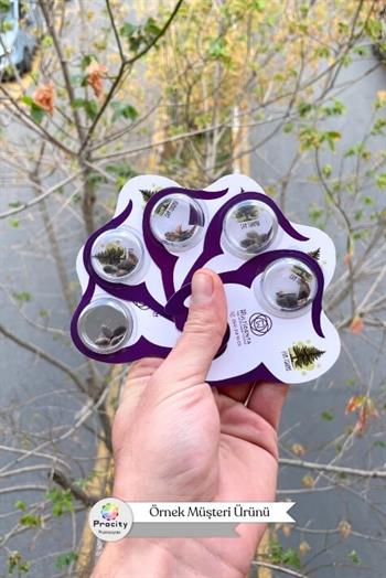 Diş Şeklinde Tohumlu Tanıtım Kartı TTK-003