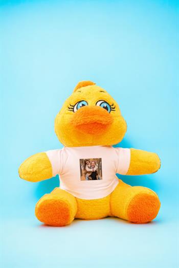 Kişiye Özel Fotoğraflı Peluş Civciv