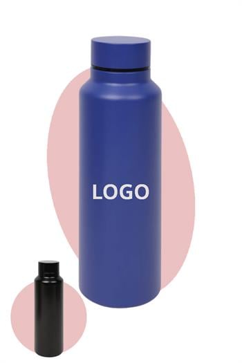 Promosyon Logo Baskılı 700ml Çelik Matara 5593-PETK