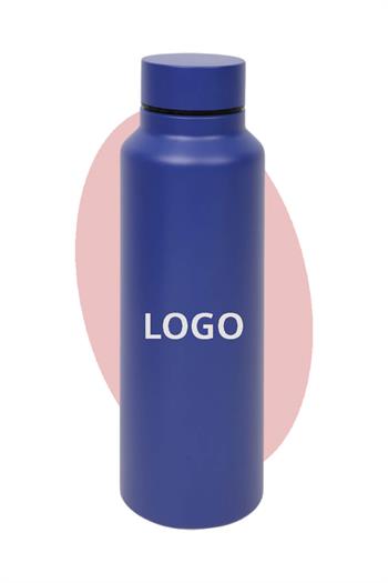 Promosyon Logo Baskılı 700ml Çelik Matara 5593-PETK