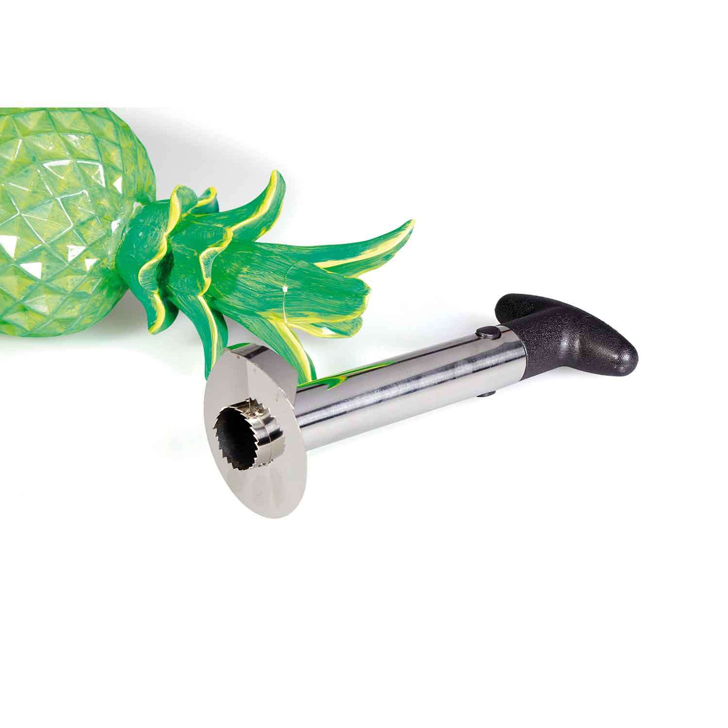 Biradlı Ananas Dilimleyici, BİRADLI, Kategorisiz