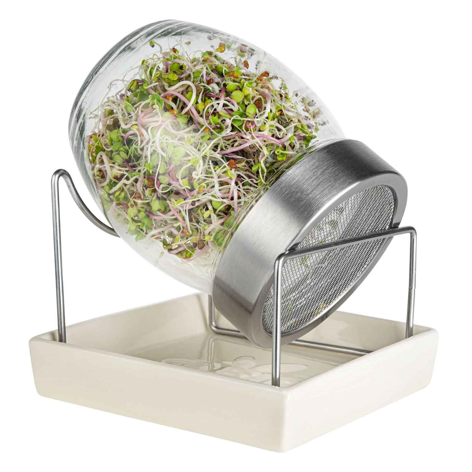 GEO Filizlendirme Kavanozu, Geo, Filizlendiriciler