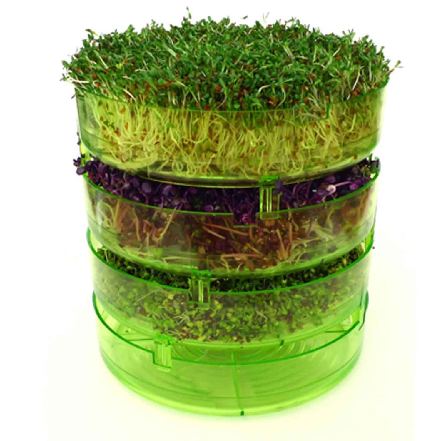 GEO Filizlendirme Rafları, Geo, Filizlendiriciler