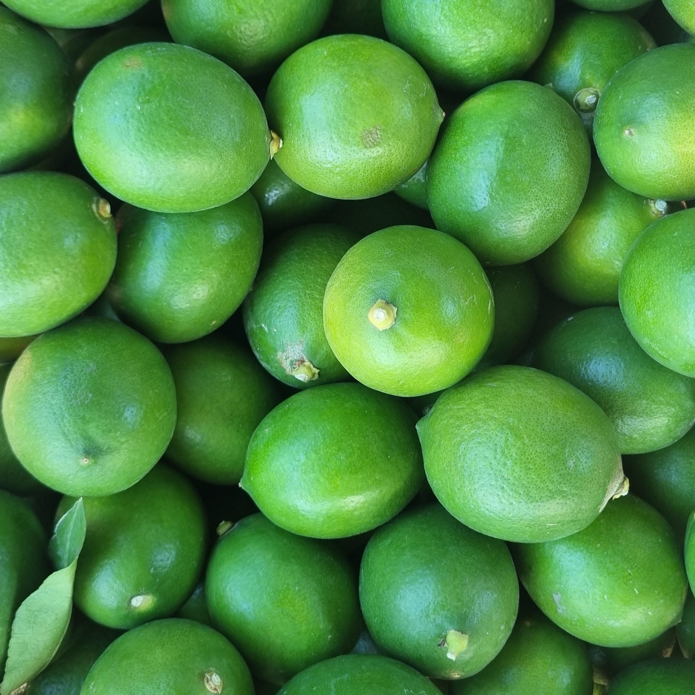 LİMON (MAYER) - 1 KG