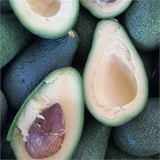 AVOKADO (FUERTE) - 1 KG - 3/5 ADET