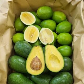 AVOKADO VE LİMON PAKETİ