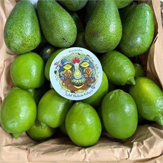 AVOKADO&LİMON PAKETİ
