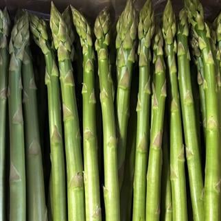 KUŞKONMAZ (ASPARGUS) - 300 GR