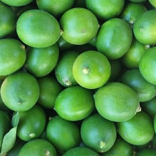 LİMON (MAYER) - 1 KG