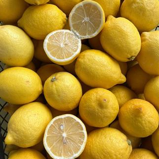 YATAK LİMON - 1 KG