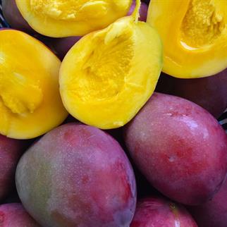 YERLİ MANGO - 1 KG