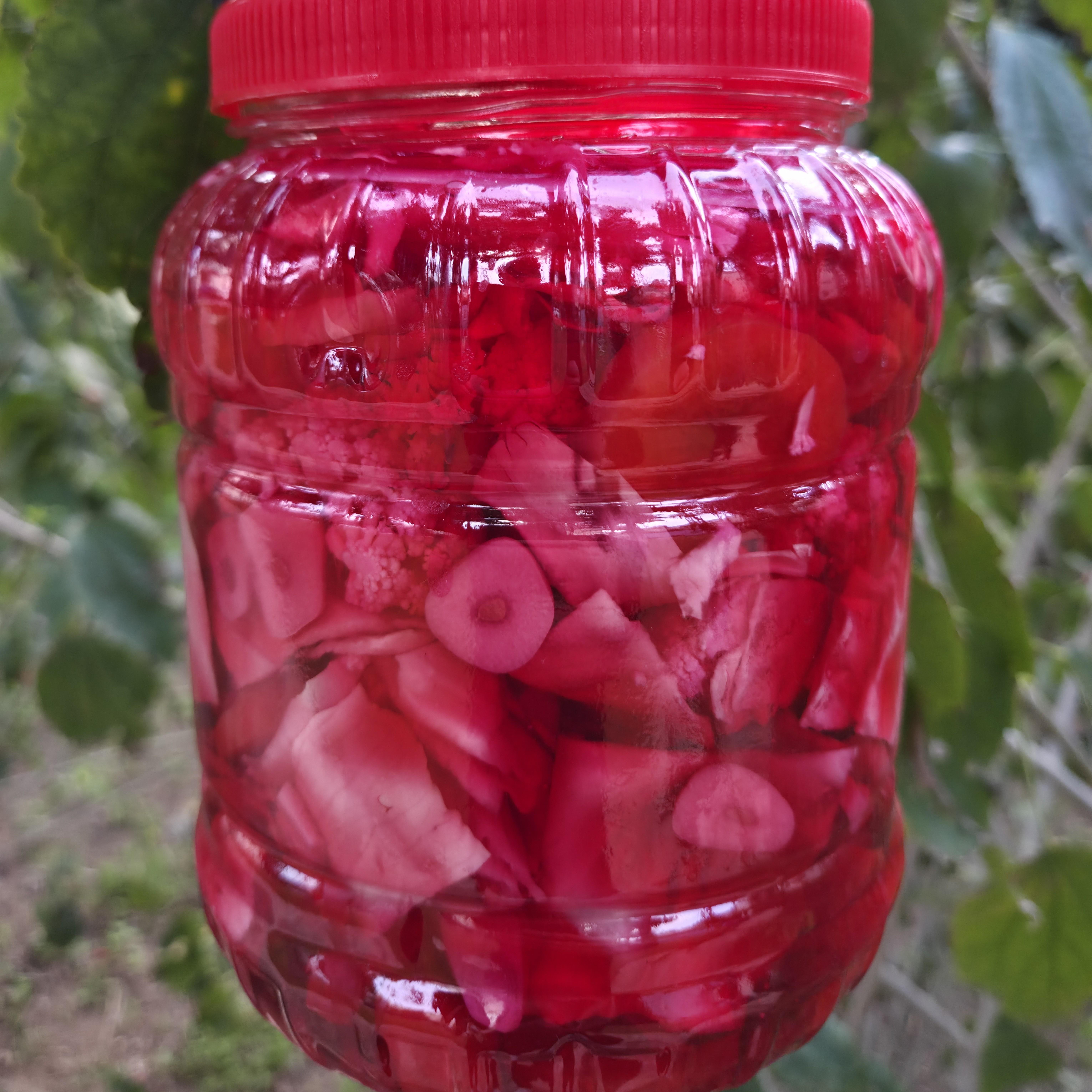 EV YAPIMI KARIŞIK TURŞU - 2.5 KG PET