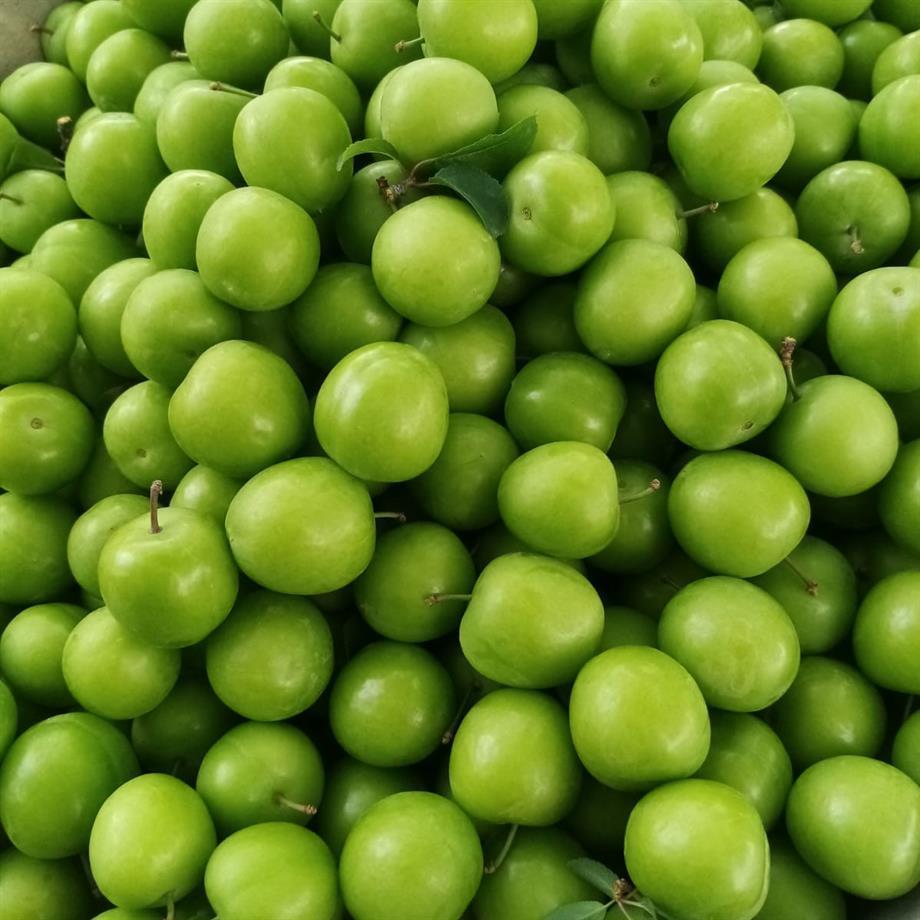 YEŞİL ERİK - 1 KG