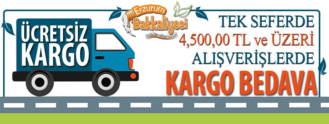4,500 Ücretsiz kargo