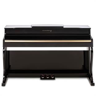 Arsenberg ADP1977BV3 Siyah Dijital Piyano 2024 Yeni Versiyon
