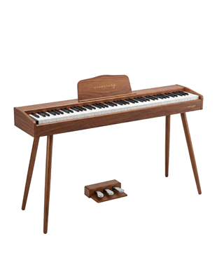 Arsenberg ADP2009 Dijital Piyano (2026 Versiyon)