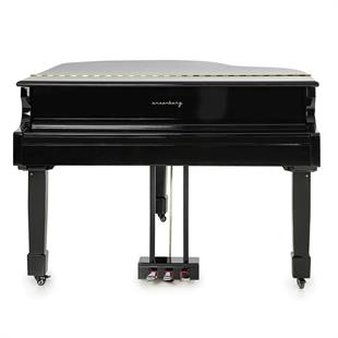 Arsenberg AGP150B Speyer Siyah Dijital Kuyruklu Piyano