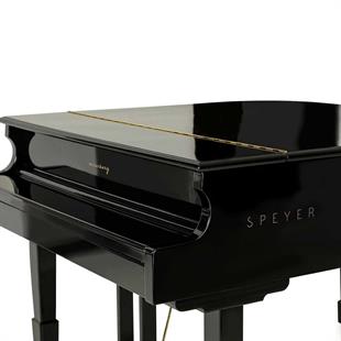 Arsenberg AGP150B Speyer Siyah Dijital Kuyruklu Piyano