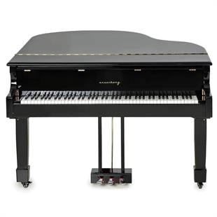 Arsenberg AGP150B Speyer Siyah Dijital Kuyruklu Piyano