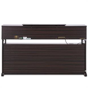 Arsenberg ASDP30-01RS Speyer Dijital Piyano