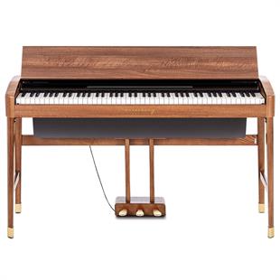 Arsenberg ASDP30-11 Speyer Serisi Dijital Piyano