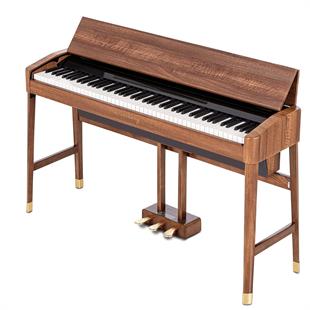 Arsenberg ASDP30-11 Speyer Serisi Dijital Piyano