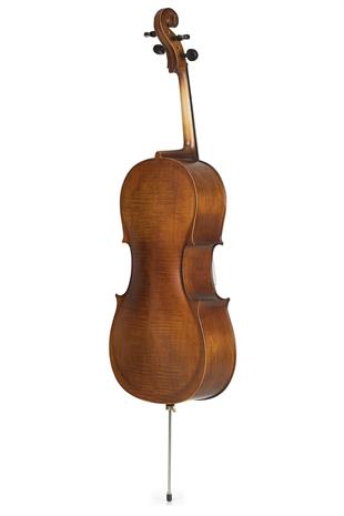 Bardsen BC34400 Çello 3/4