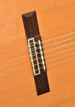 Camps NAC2 Elektro Klasik Gitar