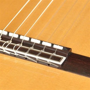 Camps NAC4-S Elektro Klasik Gitar Ladin Kapak Pro-Blend
