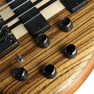 CORT A4 CUSTOM 20THNAT BASS GİTAR