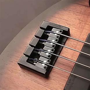 Cort B4FLMHPZOPTA Bas Gitar 4 Telli
