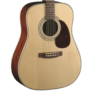 CORT EARTH70OP Akustik Gitar