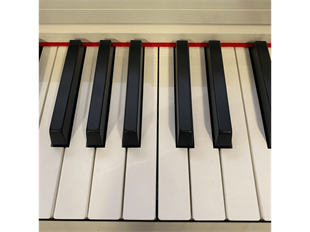 Cremonia 58812 WH Dijital Piyano (Tabure Dahil Değildir)