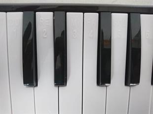 Cremonia CR32BK Melodika 32 Tuşlu (Siyah Renk)
