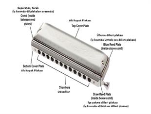 Cremonia HM0310 Mızıka Professional Harmonica 10 Delikli