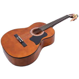 Extreme PG100 Gitar Pena Korumalığı Pick Guard