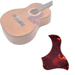 Extreme PG165DR Gitar Pena Korumalığı Pick Guard