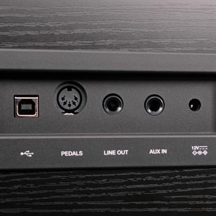 Manuel Raymond MRP788BK2 Siyah Dijital Piyano 