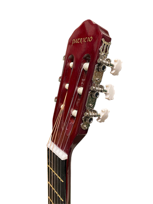 Patriccio PTNT Klasik Gitar 4/4 Naturel