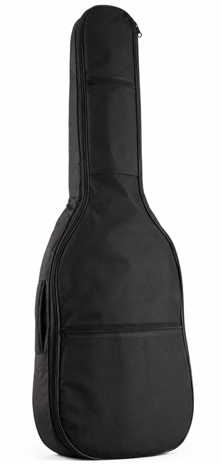 Patriccio PTNT Klasik Gitar (Naturel 4/4) Başlangıç Seti (Klasik Gitar + Yedek Tel + Pena + Kılıf + Nota Sehpası + Tuner)