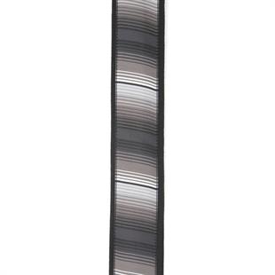 Planet Waves T20W1402 Gitar Askısı 