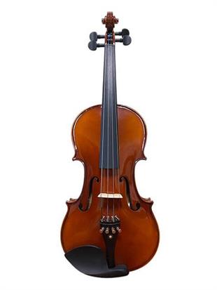 Presto Luthier Viola HDVA-02 14