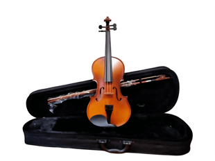 Presto Luthier W100 3/4 Keman