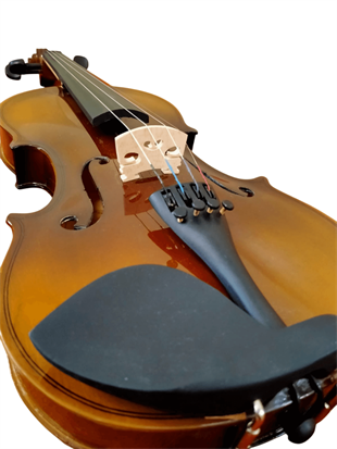 Presto Luthier W50 3/4 Keman 
