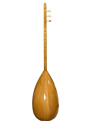 RHN Kısa Sap MODEL1 Öğrenci Bağlama Başlangıç Seti (Bağlama + Nota Sehpası + Kılıf + Tezene + Yedek Tel)