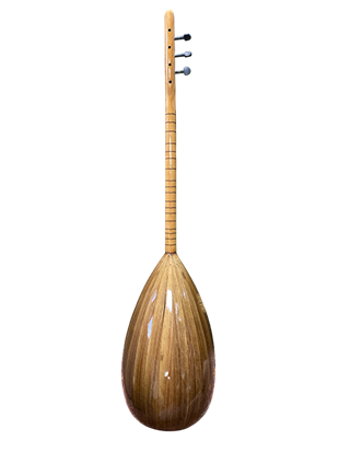 RHN Kısa Sap Öğrenci Bağlama (OBGL07)